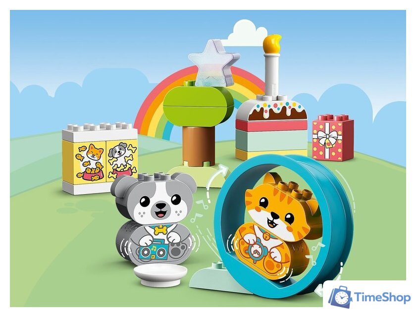 Конструктор LEGO Duplo 10977 Мой первый щенок и котёнок и их звуки - Изображение №8 — Интернет-магазин Time-Shop