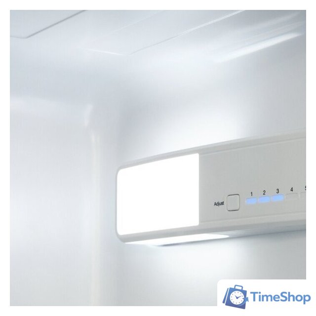 Холодильник Berg CZZ178LWM02 - Изображение №3 — Интернет-магазин Time-Shop