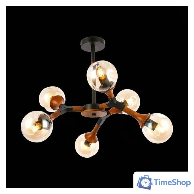 Люстра средней высоты Evoluce Raquel SLE109402-06 - Изображение №2 — Интернет-магазин Time-Shop