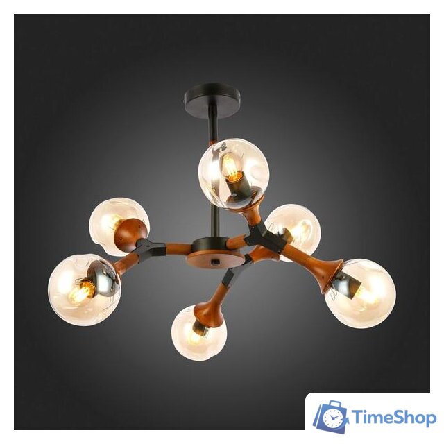 Люстра средней высоты Evoluce Raquel SLE109402-06 - Изображение №3 — Интернет-магазин Time-Shop