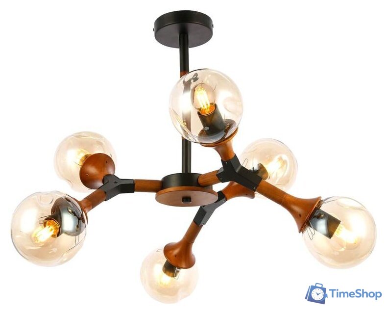 Люстра средней высоты Evoluce Raquel SLE109402-06 - Изображение №1 — Интернет-магазин Time-Shop