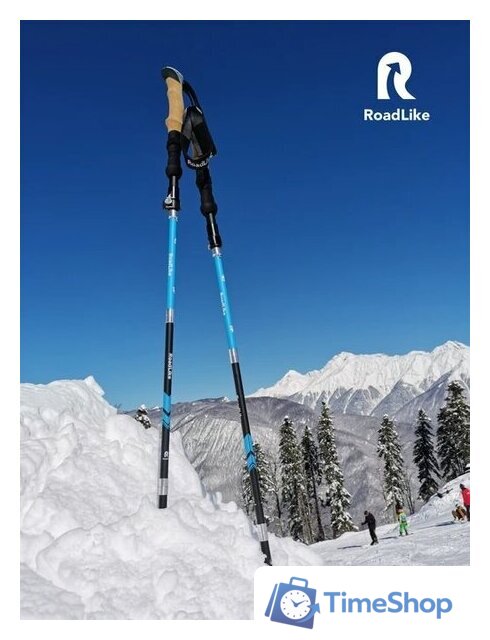 Палки для скандинавской ходьбы RoadLike Compact 368219 (зеленый) - Изображение №7 — Интернет-магазин Time-Shop