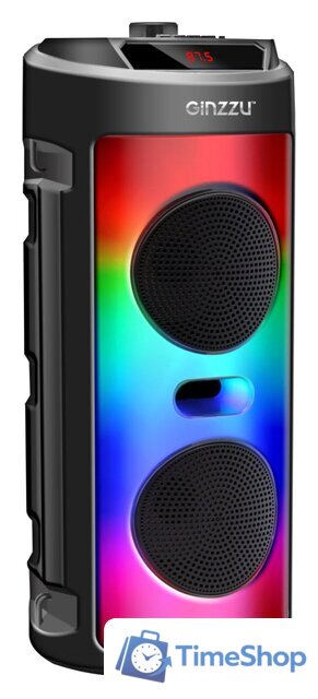 Беспроводная колонка Ginzzu GM-231 - Изображение №1 — Интернет-магазин Time-Shop