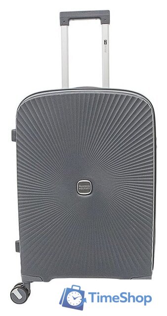 Чемодан-спиннер Francesco Molinary 344-168/2-24DGR (серый) - Изображение №1 — Интернет-магазин Time-Shop