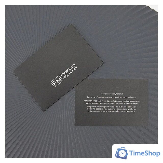 Чемодан-спиннер Francesco Molinary 344-168/2-24DGR (серый) - Изображение №9 — Интернет-магазин Time-Shop