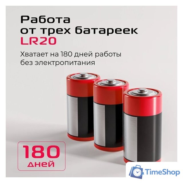 Кормушка электронная RED Solution Red For Pets 01S - Изображение №16 — Интернет-магазин Time-Shop