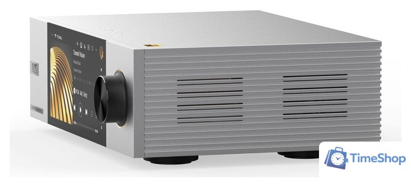 Сетевой проигрыватель Eversolo DMP-A6 Master Edition Gen 2 (серебристый) - Изображение №6 — Интернет-магазин Time-Shop