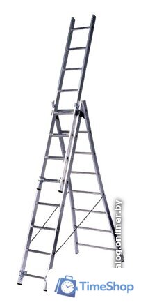 Лестница-трансформер LadderBel 3х8 секций [LS 308] - Изображение №1 — Интернет-магазин Time-Shop