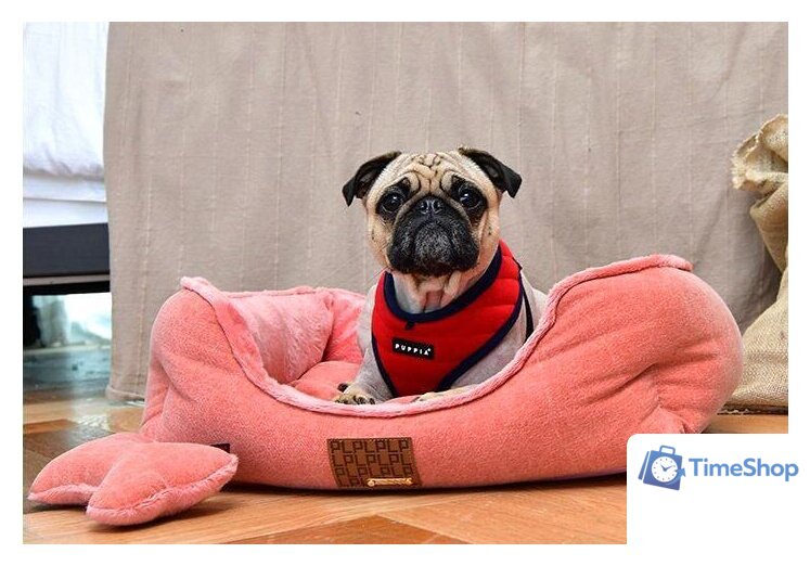 Лежак Puppia Presley PARD-AU1587-OR-FR (розовый) - Изображение №3 — Интернет-магазин Time-Shop