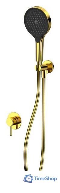 Душевой гарнитур  Whitecross Y YSET02TOPGL (золото) - Изображение №1 — Интернет-магазин Time-Shop