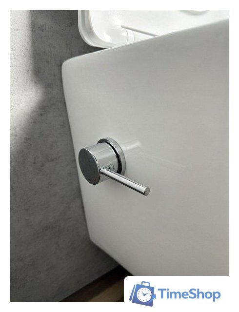 Унитаз подвесной Roxen Antares 530185-01X Rimless Soft Close с функцией биде - Изображение №4 — Интернет-магазин Time-Shop