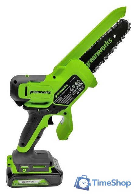 Аккумуляторная пила Greenworks GD24CSMNXK2 2008707UA (с 1-им АКБ 2 Ач) - Изображение №1 — Интернет-магазин Time-Shop