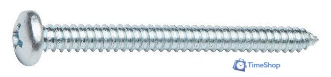  Starfix Острый Полусферическая головка 4.8х38 DIN 7981 SMZ2-43298-50 (50шт, оцинкованный, белый) - Изображение №1 — Интернет-магазин Time-Shop