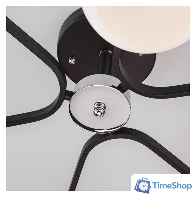 Припотолочная люстра Евросвет 30145/6 (Chrome/Wenge) - Изображение №2 — Интернет-магазин Time-Shop