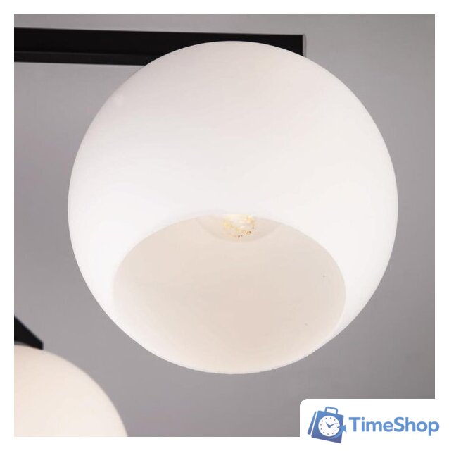 Припотолочная люстра Евросвет 30145/6 (Chrome/Wenge) - Изображение №3 — Интернет-магазин Time-Shop