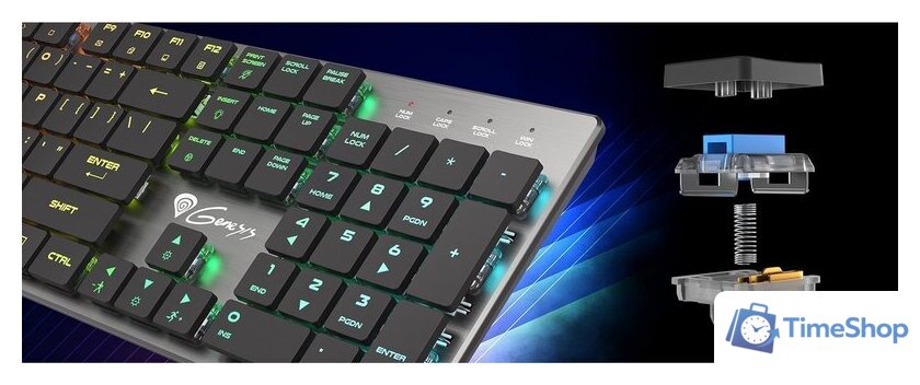 Клавиатура Genesis Thor 420 RGB (нет кириллицы) - Изображение №8 — Интернет-магазин Time-Shop