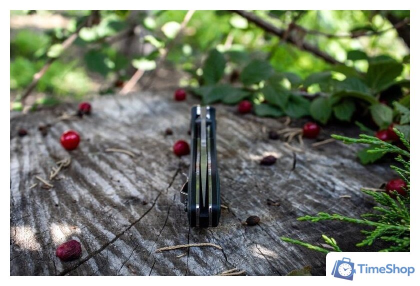 Складной нож Ruike P841-L - Изображение №8 — Интернет-магазин Time-Shop