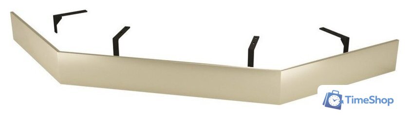 Экран для душевого поддона RGW N/ST-61 Be 50231700-03 100x100 - Изображение №1 — Интернет-магазин Time-Shop