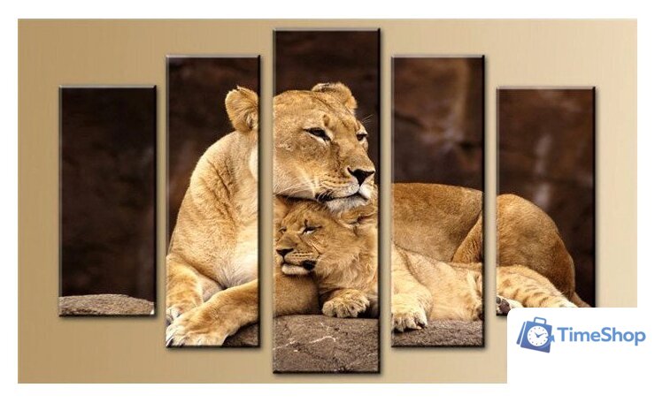 Модульная картина Arthata 5m-594 160x90 - Изображение №1 — Интернет-магазин Time-Shop