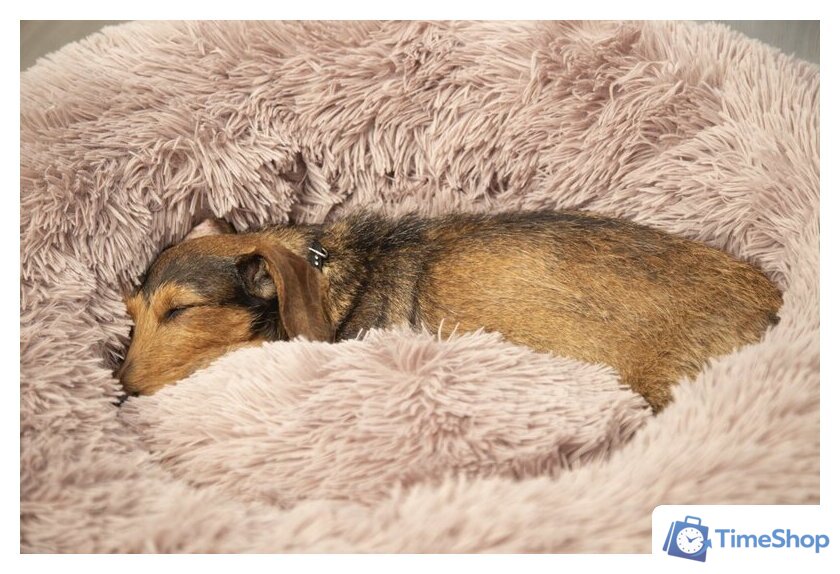 Лежак Beeztees Yali 716051 (бежевый) - Изображение №2 — Интернет-магазин Time-Shop