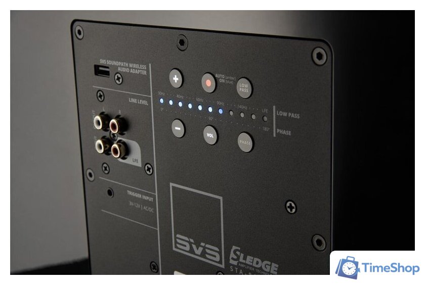 Беспроводной сабвуфер SVS PB-3000 - Изображение №6 — Интернет-магазин Time-Shop