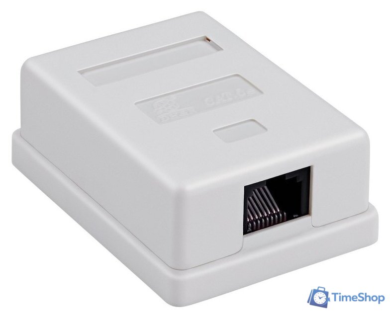 Розетка Buro TL-CAT-013 - Изображение №1 — Интернет-магазин Time-Shop