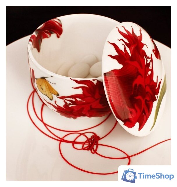 Тарелка обеденная Taitu Fil Rouge Nodi 5-41 - Изображение №4 — Интернет-магазин Time-Shop