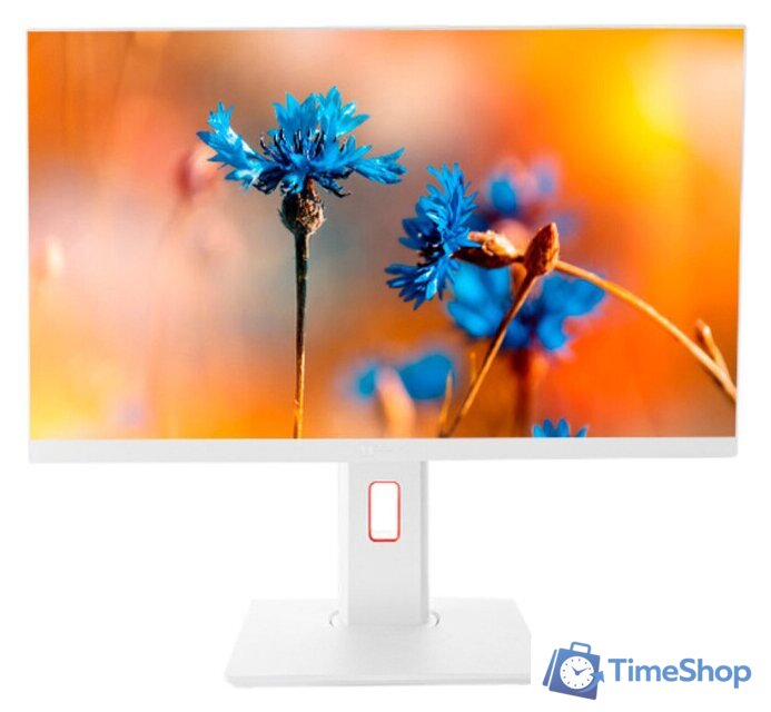 Моноблок ТЕСЛА P24WP 2416500 - Изображение №1 — Интернет-магазин Time-Shop