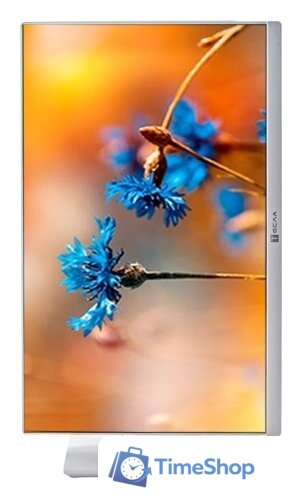 Моноблок ТЕСЛА P24WP 2416500 - Изображение №6 — Интернет-магазин Time-Shop