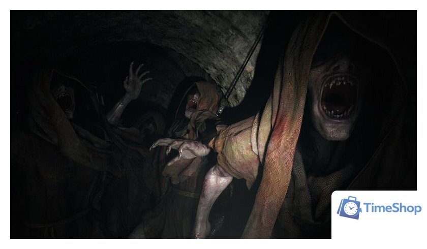 Resident Evil Village для PlayStation 4 - Изображение №5 — Интернет-магазин Time-Shop
