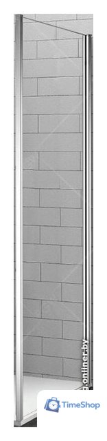 Душевая стенка RGW Z-02 100 (хром/прозрачное стекло) - Изображение №1 — Интернет-магазин Time-Shop