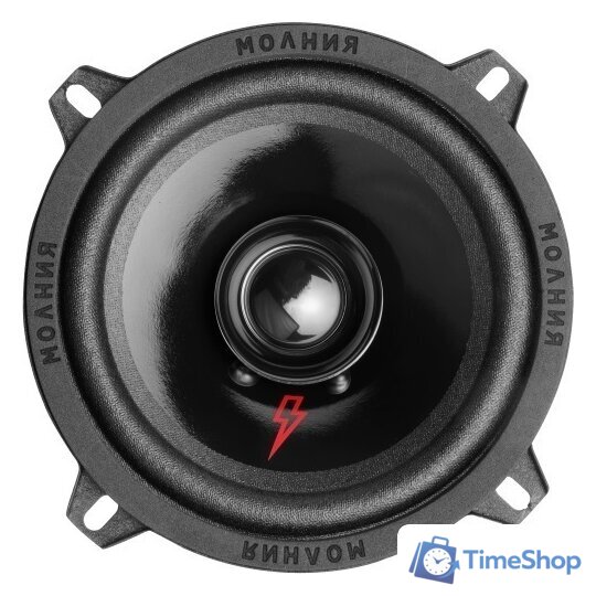 Широкополосная АС Урал Молния АС-МЛ100 - Изображение №1 — Интернет-магазин Time-Shop