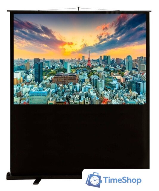 Проекционный экран CACTUS FloorCompactExpert 68x120 CS-PSFLCE-120X68 - Изображение №1 — Интернет-магазин Time-Shop