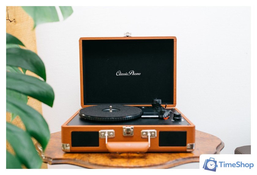 Виниловый проигрыватель Lenco TT-10BN - Изображение №11 — Интернет-магазин Time-Shop