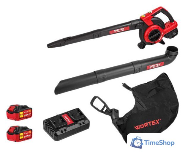 Ручная воздуходувка Wortex BB 2536-1 D ALL1 XLT SET 1333418 (с 2-мя АКБ) - Изображение №1 — Интернет-магазин Time-Shop