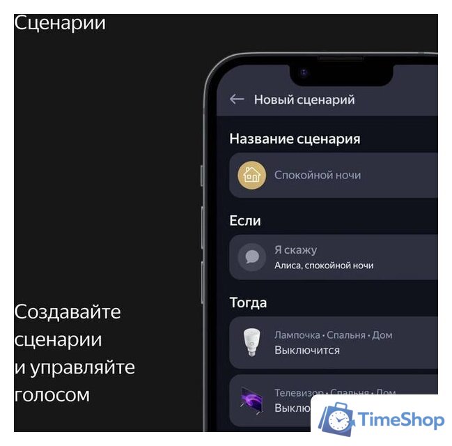 Умная колонка Яндекс Станция Макс (с хабом умного дома Zigbee, черный) - Изображение №13 — Интернет-магазин Time-Shop