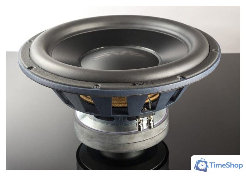 Беспроводной сабвуфер SVS SB-3000 (черный ясень) - Изображение №3 — Интернет-магазин Time-Shop
