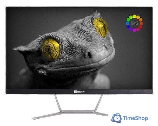 Моноблок ТЕСЛА Z24B 2108500 - Изображение №1 — Интернет-магазин Time-Shop