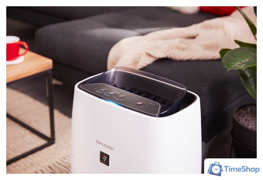 Очиститель воздуха Sharp FP-J40EU-W - Изображение №5 — Интернет-магазин Time-Shop