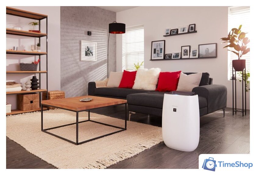 Очиститель воздуха Sharp FP-J40EU-W - Изображение №4 — Интернет-магазин Time-Shop