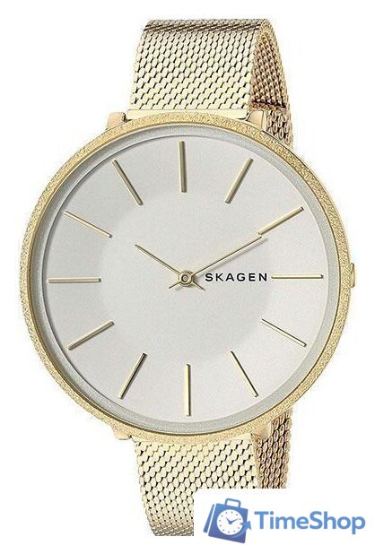 Наручные часы Skagen SKW2722 - Изображение №1 — Интернет-магазин Time-Shop