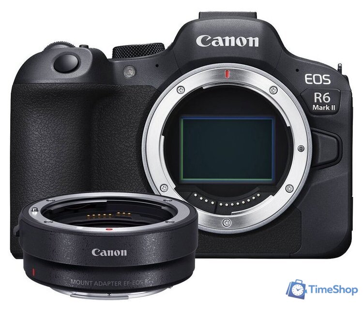 Беззеркальный фотоаппарат Canon EOS R6 Mark II Body + адаптер крепления EF-EOS R - Изображение №1 — Интернет-магазин Time-Shop