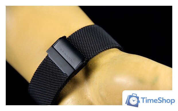 Наручные часы Skagen SKW6006 - Изображение №23 — Интернет-магазин Time-Shop