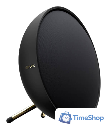 Беспроводная аудиосистема Defunc Home Small (черный) - Изображение №1 — Интернет-магазин Time-Shop