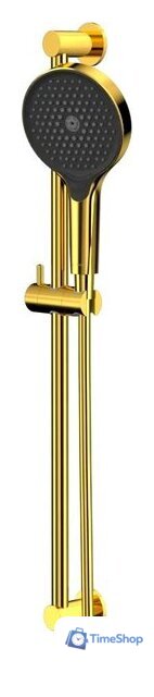 Душевой гарнитур  Whitecross SET51TOPGL (золото) - Изображение №1 — Интернет-магазин Time-Shop