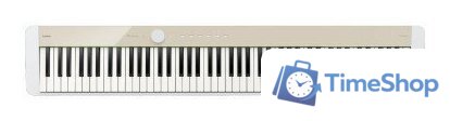 Цифровое пианино Casio PX-S1100 (бежевый) - Изображение №1 — Интернет-магазин Time-Shop