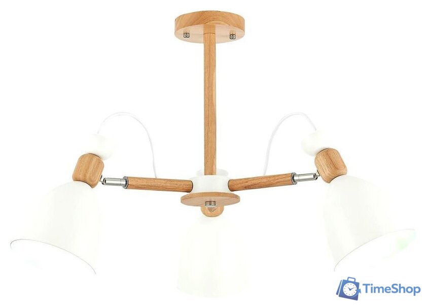 Люстра средней высоты Evoluce Balcamo SLE103802-03 - Изображение №1 — Интернет-магазин Time-Shop