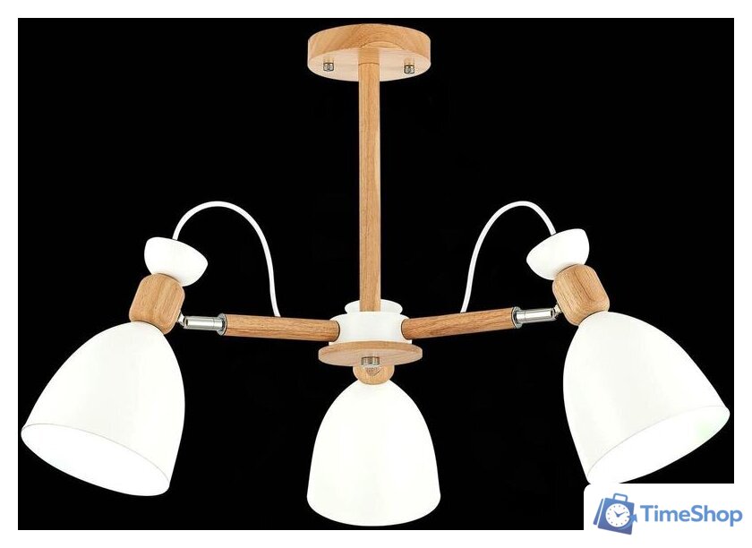 Люстра средней высоты Evoluce Balcamo SLE103802-03 - Изображение №2 — Интернет-магазин Time-Shop