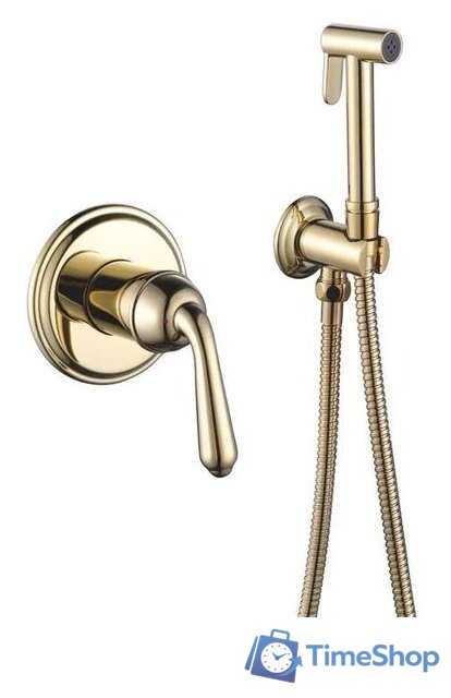 Гигиенический душ Rose R0205E - Изображение №1 — Интернет-магазин Time-Shop