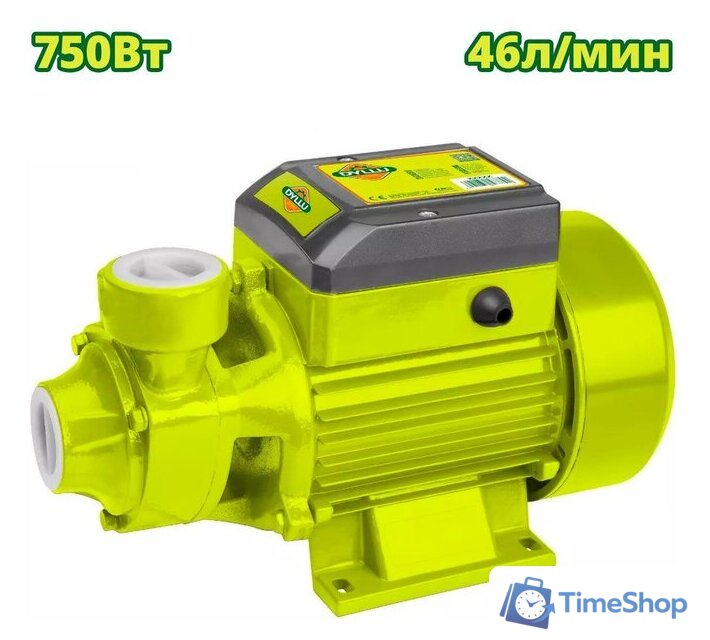 Самовсасывающий насос Dyllu DTWPVA03 - Изображение №1 — Интернет-магазин Time-Shop